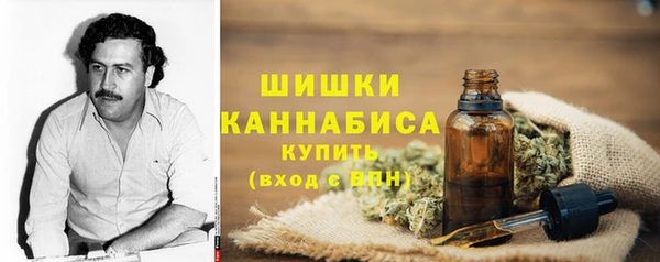 гидра Няндома