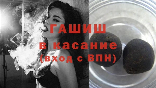 гидра Няндома