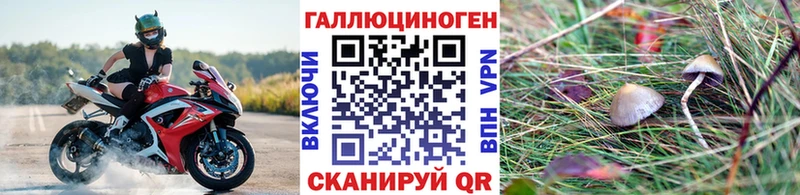 Галлюциногенные грибы GOLDEN TEACHER Юрьев-Польский