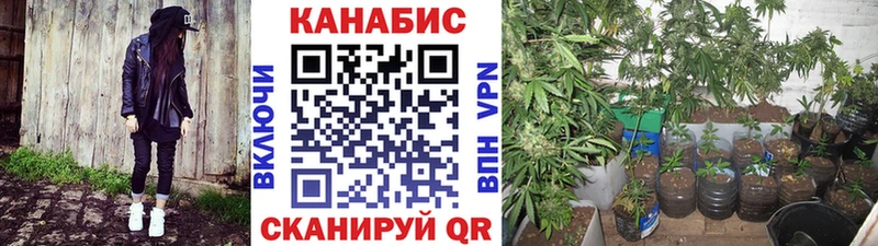 OMG зеркало  Юрьев-Польский  Канабис план  купить  